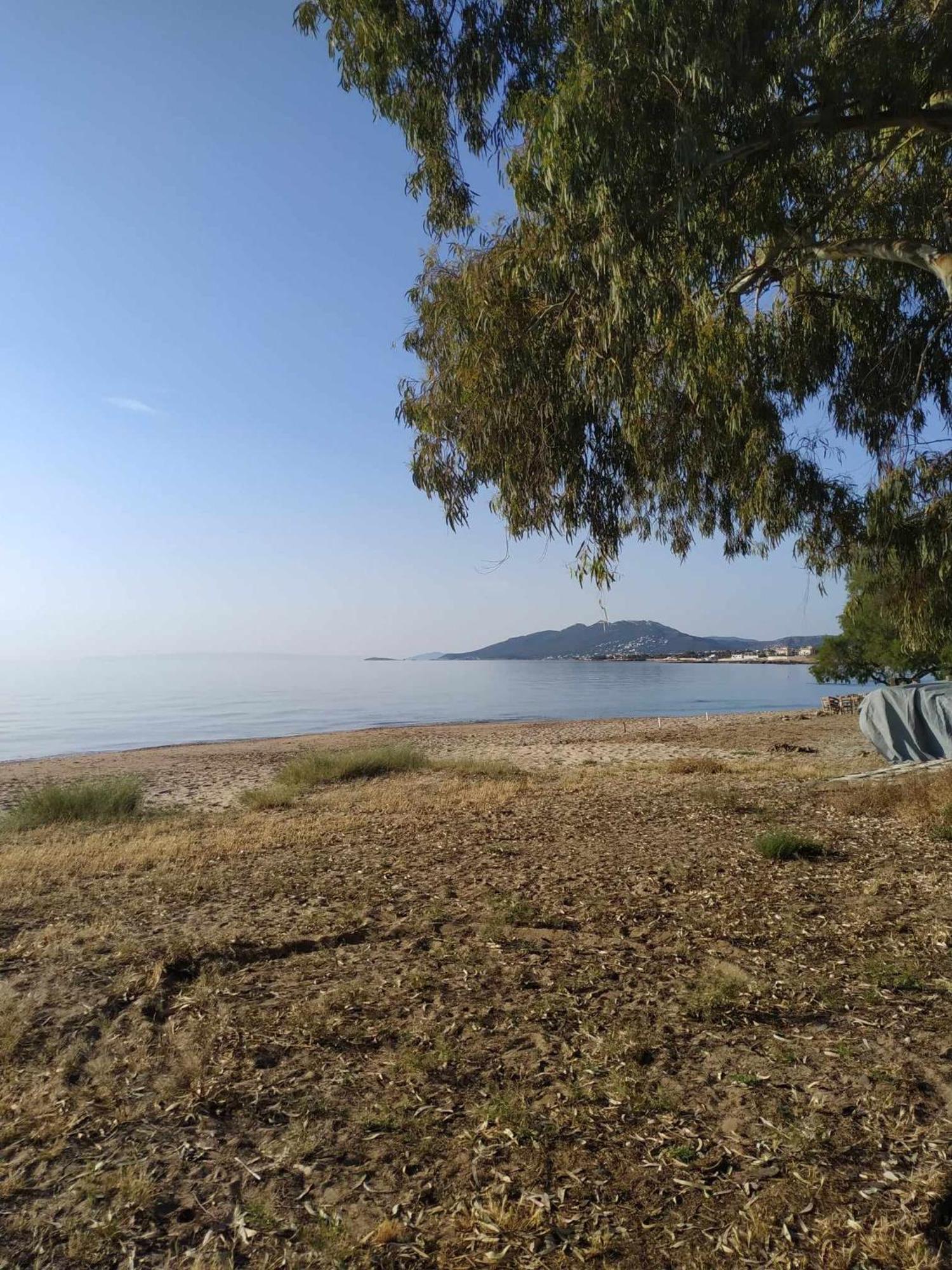 Artemis Central Home Εξωτερικό φωτογραφία